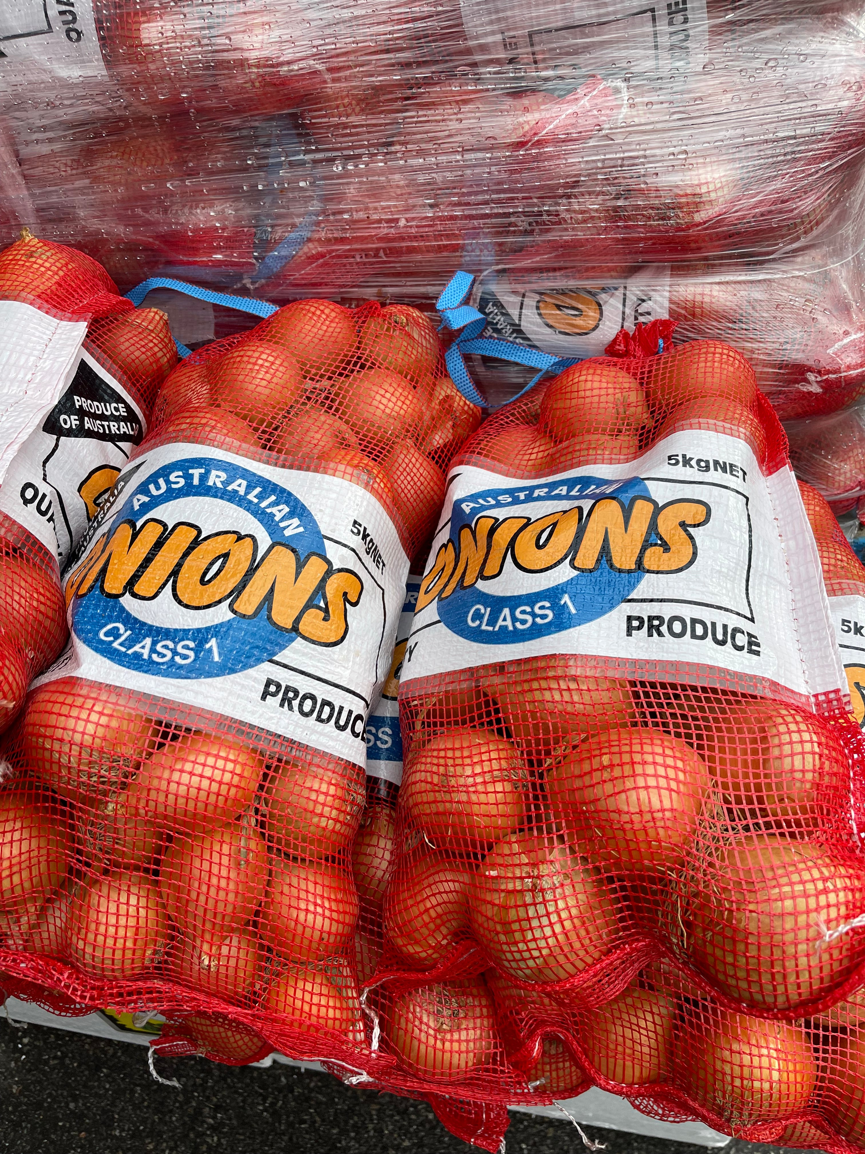 Brown Onion 5Kg Bag